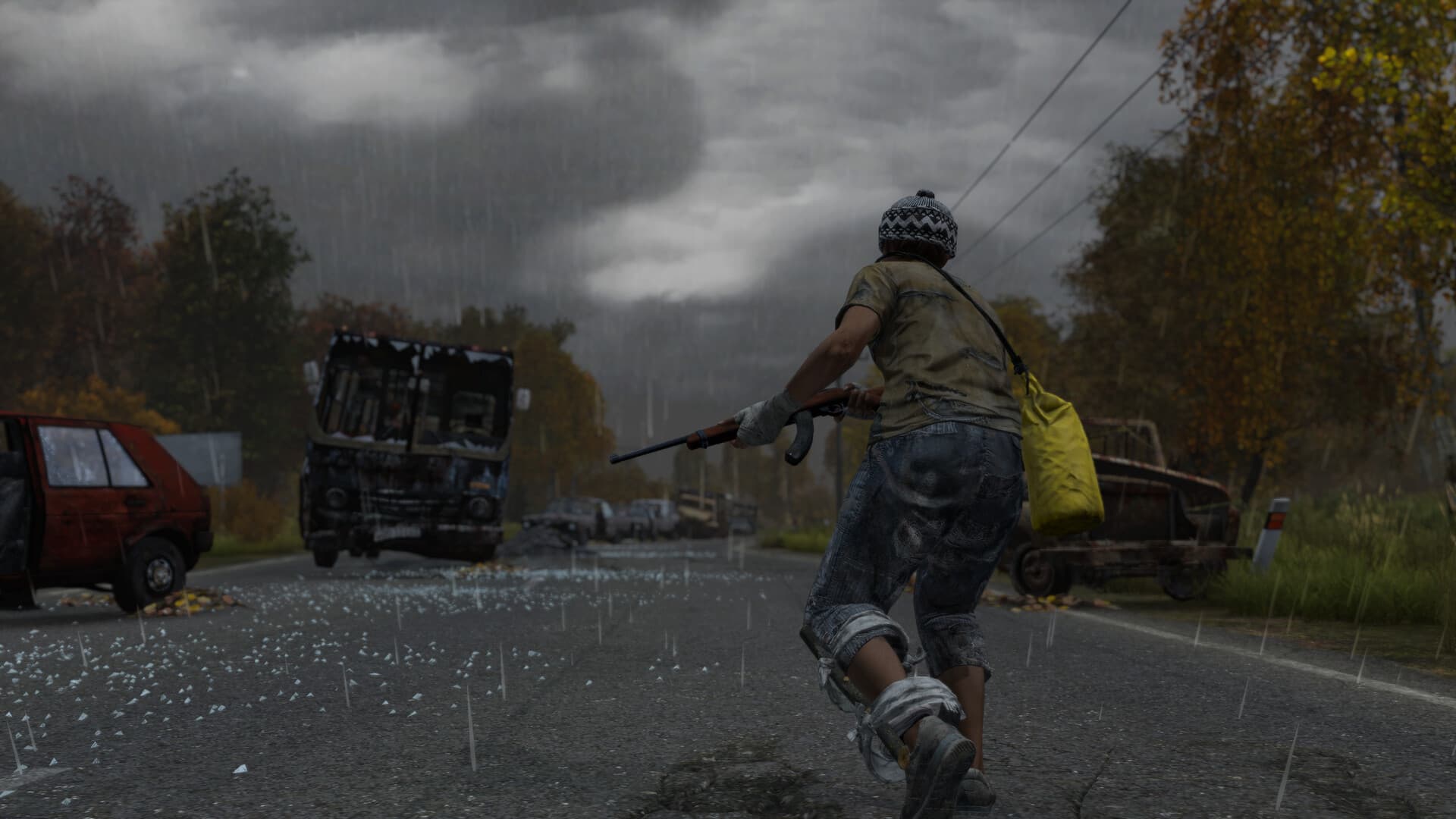 DayZ game artwork